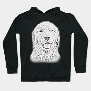 Golden Retriever Sketch Design Hoodie